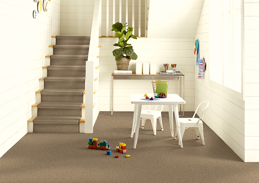 brown carpet on stairs and floor in basement